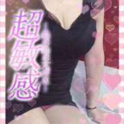 ヒメ日記 2025/03/17 17:42 投稿 きょうこ トマトなび