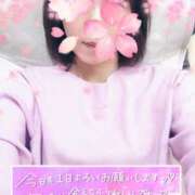 ヒメ日記 2025/03/27 10:09 投稿 きょうこ トマトなび