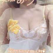 ヒメ日記 2025/03/31 08:29 投稿 きょうこ トマトなび