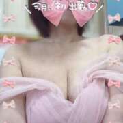 ヒメ日記 2025/04/01 08:33 投稿 きょうこ トマトなび