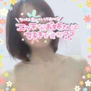 ヒメ日記 2025/04/04 11:45 投稿 きょうこ トマトなび