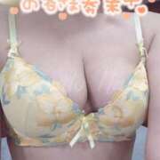 ヒメ日記 2025/04/08 09:07 投稿 きょうこ トマトなび