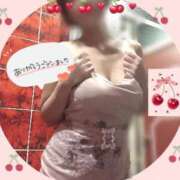 ヒメ日記 2025/04/12 14:33 投稿 きょうこ トマトなび