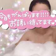 ヒメ日記 2025/04/13 08:46 投稿 きょうこ トマトなび