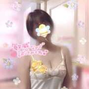 ヒメ日記 2025/04/13 12:54 投稿 きょうこ トマトなび