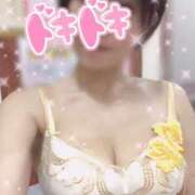 ヒメ日記 2025/04/14 07:42 投稿 きょうこ トマトなび