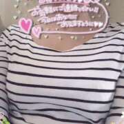 ヒメ日記 2025/04/17 09:09 投稿 きょうこ トマトなび