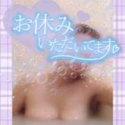 ヒメ日記 2025/04/20 00:41 投稿 きょうこ トマトなび