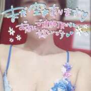 ヒメ日記 2025/04/25 15:33 投稿 きょうこ トマトなび