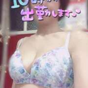 ヒメ日記 2025/04/27 07:41 投稿 きょうこ トマトなび