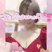 ヒメ日記 2025/04/28 19:15 投稿 きょうこ トマトなび