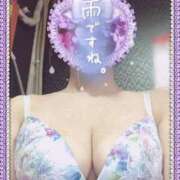 ヒメ日記 2025/05/06 10:34 投稿 きょうこ トマトなび