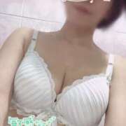 ヒメ日記 2025/05/11 10:15 投稿 きょうこ トマトなび