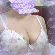 ヒメ日記 2025/06/01 11:04 投稿 きょうこ トマトなび