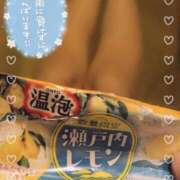 ヒメ日記 2025/06/15 07:35 投稿 きょうこ トマトなび