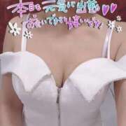 ヒメ日記 2025/06/15 11:07 投稿 きょうこ トマトなび