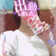 ヒメ日記 2025/06/29 09:56 投稿 きょうこ トマトなび