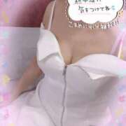 ヒメ日記 2025/07/08 12:34 投稿 きょうこ トマトなび