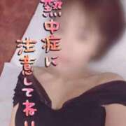 ヒメ日記 2025/07/10 07:50 投稿 きょうこ トマトなび