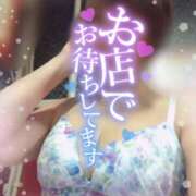 ヒメ日記 2025/07/10 09:51 投稿 きょうこ トマトなび