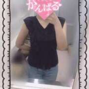 ヒメ日記 2025/07/15 10:16 投稿 きょうこ トマトなび