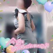 ヒメ日記 2025/07/19 00:38 投稿 きょうこ トマトなび