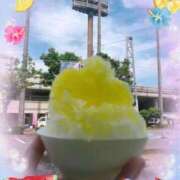 ヒメ日記 2025/07/29 08:05 投稿 きょうこ トマトなび