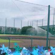 ヒメ日記 2025/08/13 21:16 投稿 きょうこ トマトなび