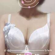 ヒメ日記 2025/09/07 11:16 投稿 きょうこ トマトなび