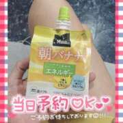ヒメ日記 2025/09/25 11:53 投稿 きょうこ トマトなび