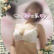 ヒメ日記 2025/10/02 11:39 投稿 きょうこ トマトなび