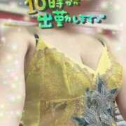 ヒメ日記 2025/10/09 07:55 投稿 きょうこ トマトなび