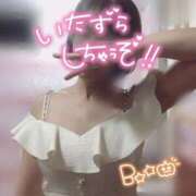 ヒメ日記 2025/10/23 08:01 投稿 きょうこ トマトなび