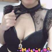 ヒメ日記 2025/10/25 20:44 投稿 きょうこ トマトなび