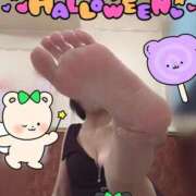 ヒメ日記 2025/10/29 18:18 投稿 きょうこ トマトなび