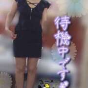 ヒメ日記 2025/11/09 14:06 投稿 きょうこ トマトなび