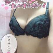 ヒメ日記 2025/11/12 21:42 投稿 きょうこ トマトなび