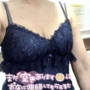 ヒメ日記 2025/11/13 14:12 投稿 きょうこ トマトなび