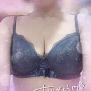 ヒメ日記 2025/11/24 12:24 投稿 きょうこ トマトなび