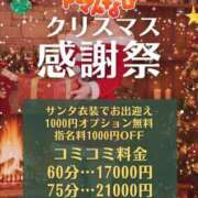 ヒメ日記 2025/12/09 12:59 投稿 きょうこ トマトなび