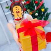 ヒメ日記 2025/12/12 18:10 投稿 きょうこ トマトなび