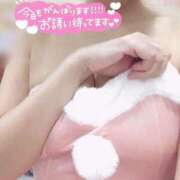 ヒメ日記 2025/12/18 10:27 投稿 きょうこ トマトなび