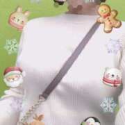 ヒメ日記 2025/12/21 13:13 投稿 きょうこ トマトなび