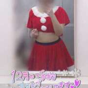 ヒメ日記 2025/12/23 23:05 投稿 きょうこ トマトなび