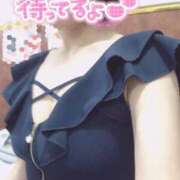 ヒメ日記 2025/12/28 08:19 投稿 きょうこ トマトなび