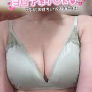 ヒメ日記 2026/01/03 09:10 投稿 きょうこ トマトなび