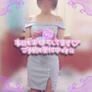 ヒメ日記 2026/01/08 08:16 投稿 きょうこ トマトなび