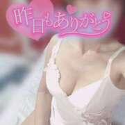 きょうこ おれい。 トマトなび