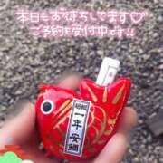 きょうこ おみくじ。 トマトなび