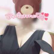 ヒメ日記 2026/02/01 12:25 投稿 きょうこ トマトなび